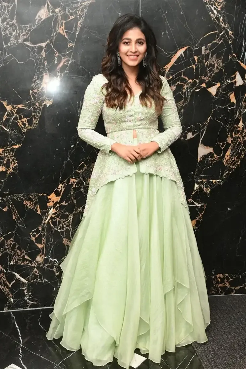 South Indian Actress Anjali Stills in Traditional Light Green Dress